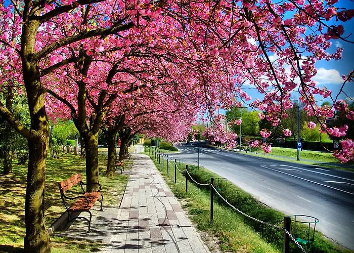 Relax House Apartament